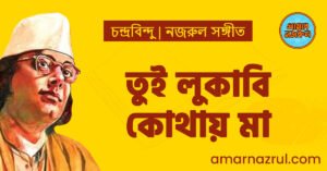 তুই লুকাবি কোথায় মা | চন্দ্রবিন্দু তুই লুকাবি কোথায় মা
